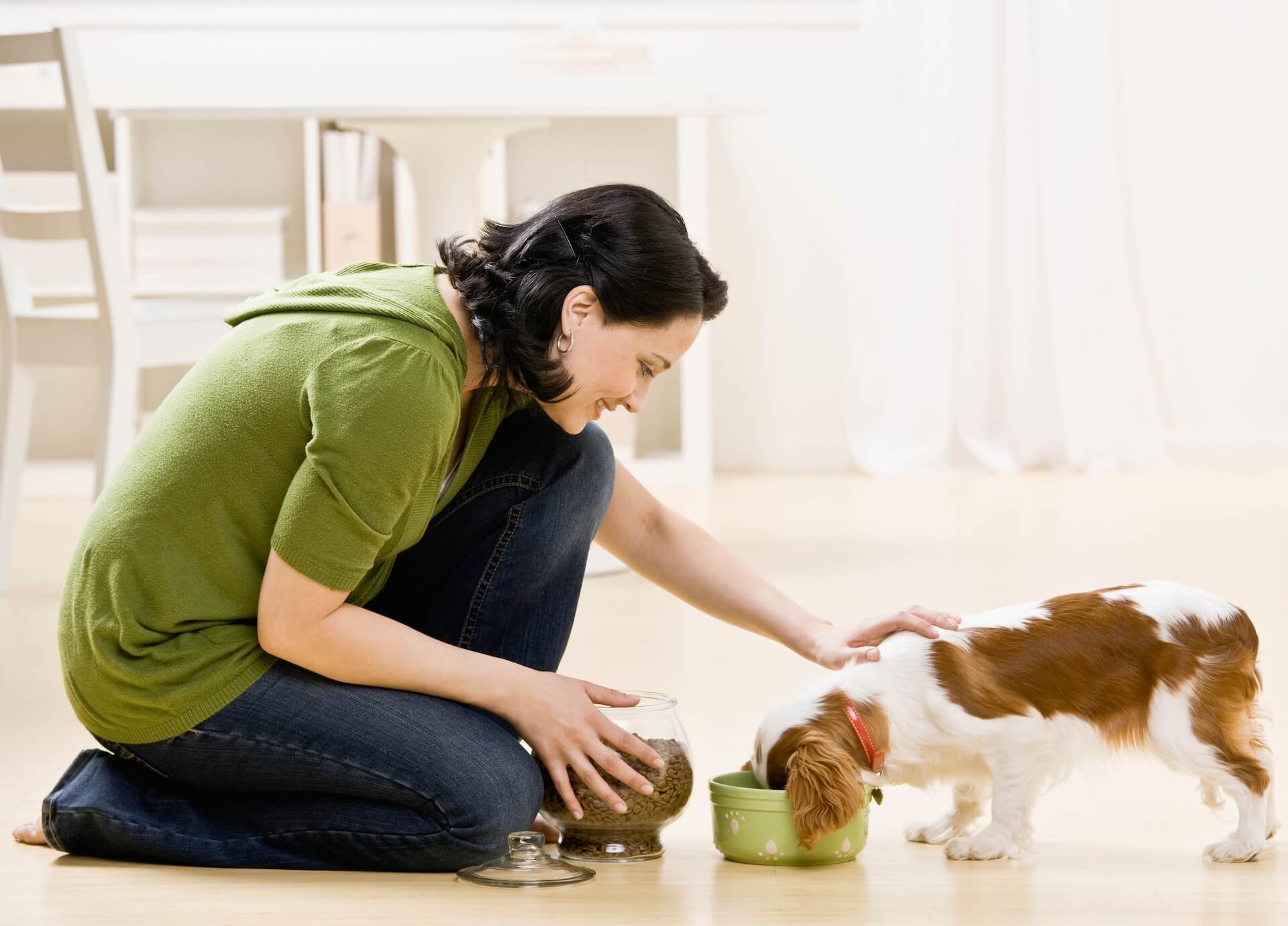 Pet Nutrition in Whitehouse Station, NJ 