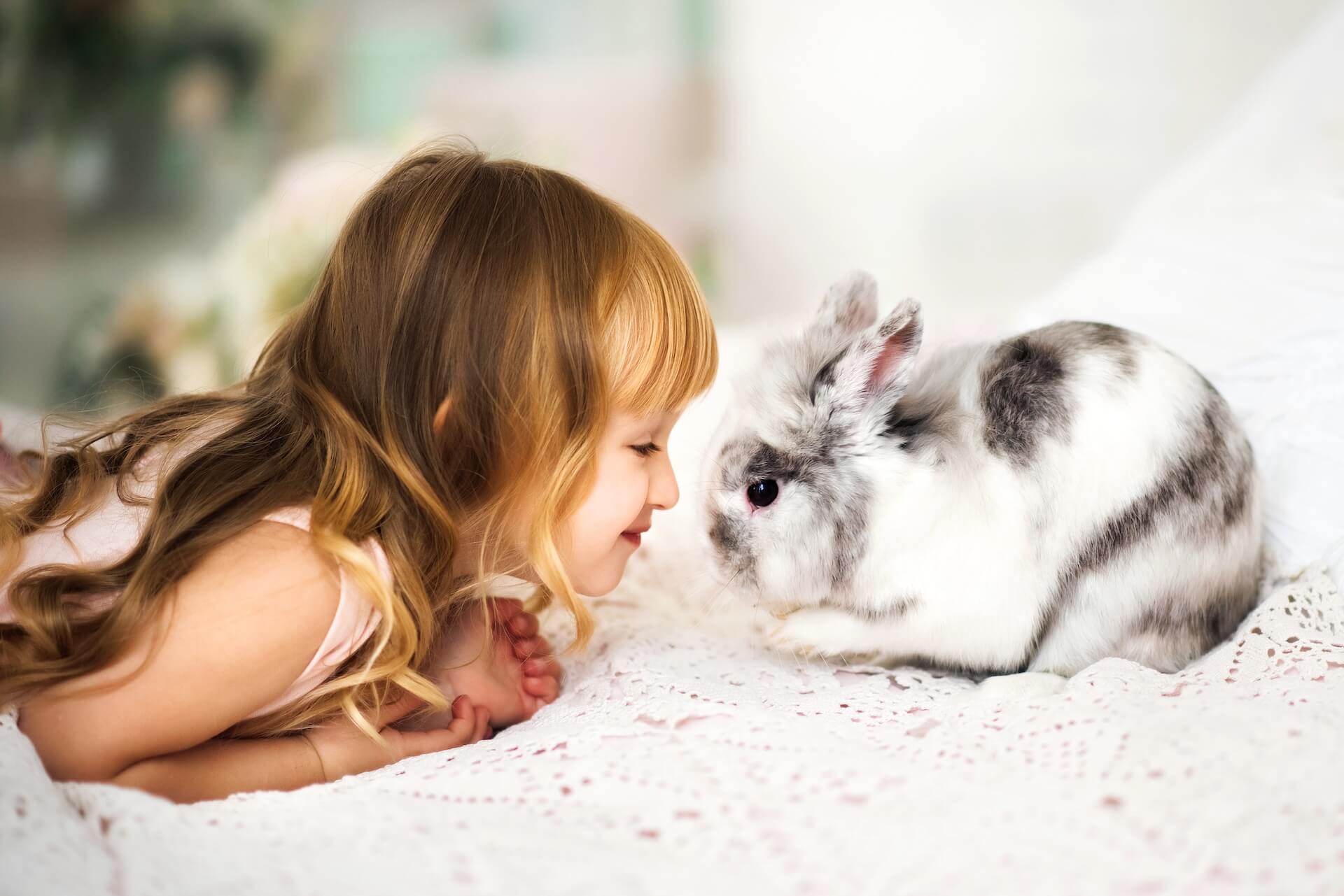 Rabbits and Small Animals in Whitehouse Station, NJ 