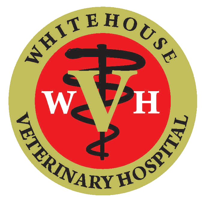 Whitehouse Veterinary Hospital